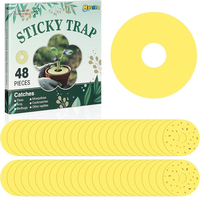 Mysora 48 Pcs Fruit Fly Traps Fungus Gnat Sticky Traps Yellow Round Ring for Pot Plants Indoor Outdoor Mosquito Flying Insects (M)