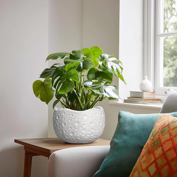 Thirtypot Ceramic Plant Pot - 8 Inch Round Planter with Drainage Hole, Decorative Plant Pots for Indoor Outdoor Plants, Modern Unique Flower Pots, House Living Room Decor, Housewarming Gifts, White