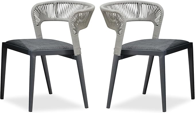 PURPLE LEAF 2 Pieces Outdoor Dining Chair All-Weather Wicker Aluminum Frame Patio Dining Chair for Lawn Garden Backyard Deck with Cushion, Gray