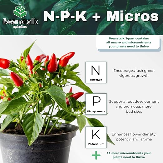 Beanstalk Agriculture Absolute Flower 11-3-17 – Controlled-Release Bloom Fertilizer for Bigger Stickier Buds Ideal for Indoor Outdoor Hydroponic & Soil Grows High-Performance Flowering Nutrients– 3 lb
