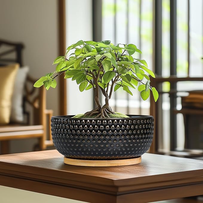 EPFamily Bonsai Tree Pot - 8 Inch Ceramic Succulent Planters with Drainage and Plant Tray, Boho Round Shallow Bowl for Indoor Plants, Office Decor, Housewarming Gift, Black