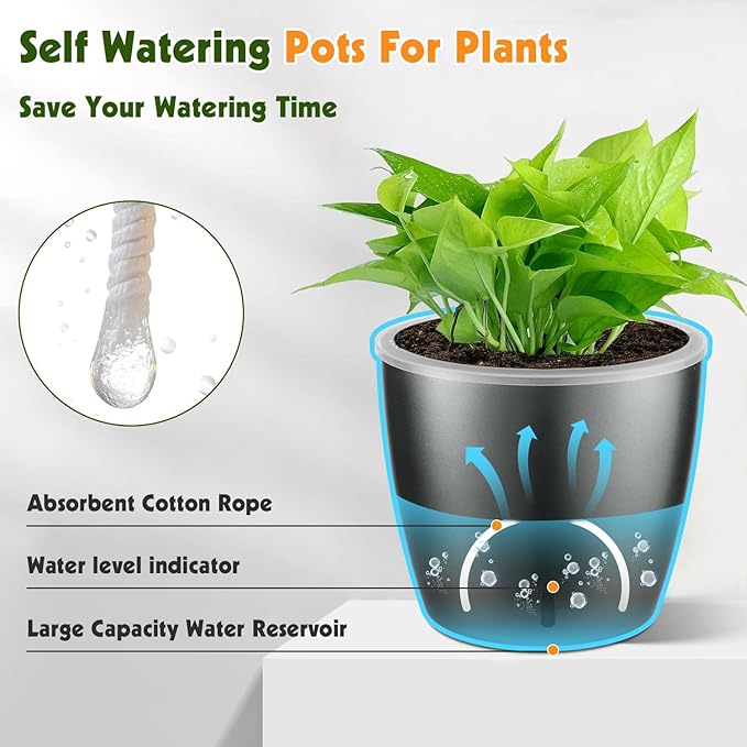 KvyusFlourish Self Watering Pots for Indoor Plants, 6-Pack 5'' Self Watering Planter with Drainage Holes, Small African Violet Pots with Water Indicator, Clear Wick Orchid Pot, Grey