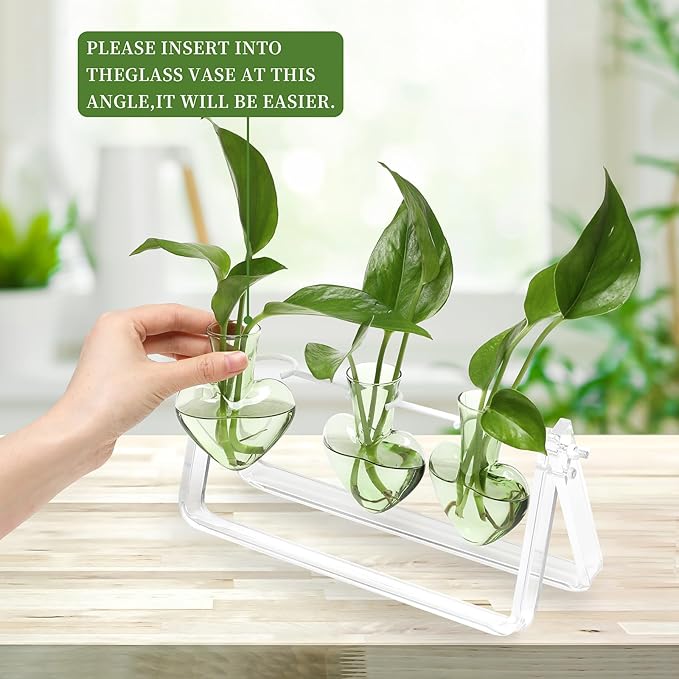 CYZglass Clear Plant Terrarium Propagation Stations with Acrylic Stand Birthday Gifts for Women Office Home Decor