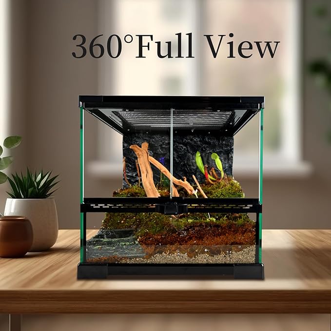 waazoorep Reptile Glass Tank 12"*12"*12" Terrarium Habitat with Double Hinge Door and Top Screen Ventilation for Bearded Dragon,Lizard,Leopard Gecko,Snake,Hermit Crab with Carpet and Hygrothermograph