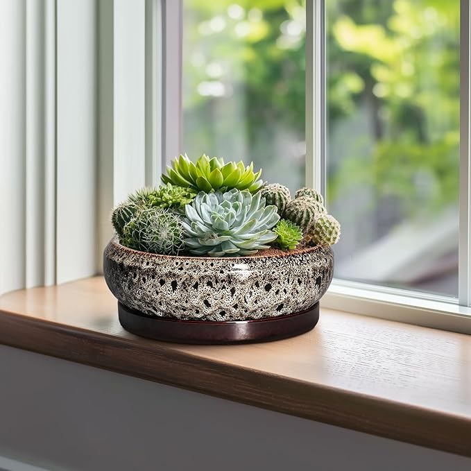 EPFamily Succulent Pots 10 Inch - Ceramic Bonsai Pots with Drainage Hole and Tray, Large Succulent Planters, Shallow Planter Indoor, Round Planter Bowl, Window Decor, Gifts for Plant Lovers, White