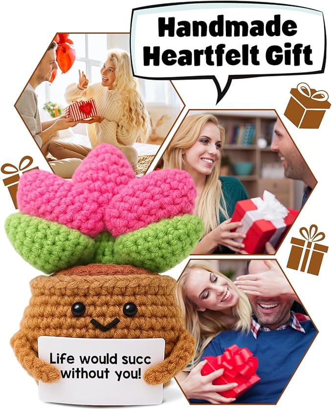 WEZADUK Positive Emotional Support Crochet Plants, Funny Succulent Gifts for Women Men Plant Lovers, Birthday Gift Ideas, Mini Handmade Crochet Succulent Decor