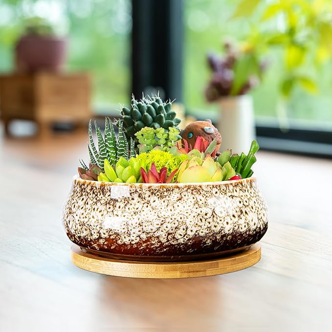 ARTKETTY Succulent Pots - 8 Inch Plant Pot, Large Bonsai Pots with Drainage Tray, Ceramic Planters for Indoor Outdoor Plants, Round Shallow Cactus Flower Plant Container Bowl Decorative Home Garden