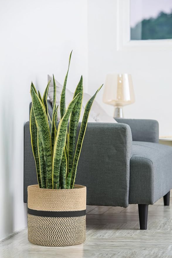 Dahey Jute Rope Plant Basket Modern Woven Storage Basket for 12" Indoor Planter, Decorative Flower Pots Cover Laundry Bin with Handle Rustic Home Decor, Black
