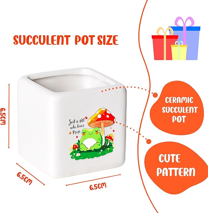 BJDAMAI Frog Succulent Planter Flower Plant Pot Small, Gifts for Women Teens Girls Kids, Frog Lovers Themed Stuff Accessories Things Decor Merch, Home Office Table Desk Decoration!