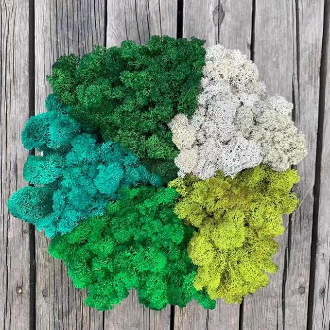 prefleur Preserved Reindeer Moss Natural Green DIY Kit Gardenning Art Wall Decor Florist Decor Easter Table Decor Wedding