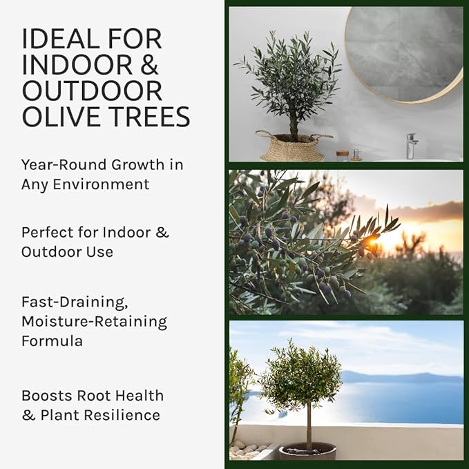 GARDENWISE Organic Olive Tree Potting Mix – Fast-Draining, Nutrient-Rich Soil for Indoor & Outdoor Olive Trees – Mediterranean Plant Care – Long-Lasting Formula (2 QUARTS)