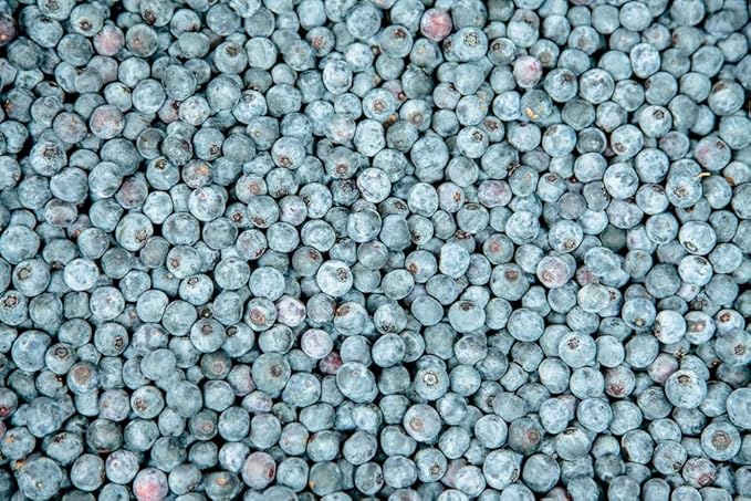 Powder Blue 1 Gallon