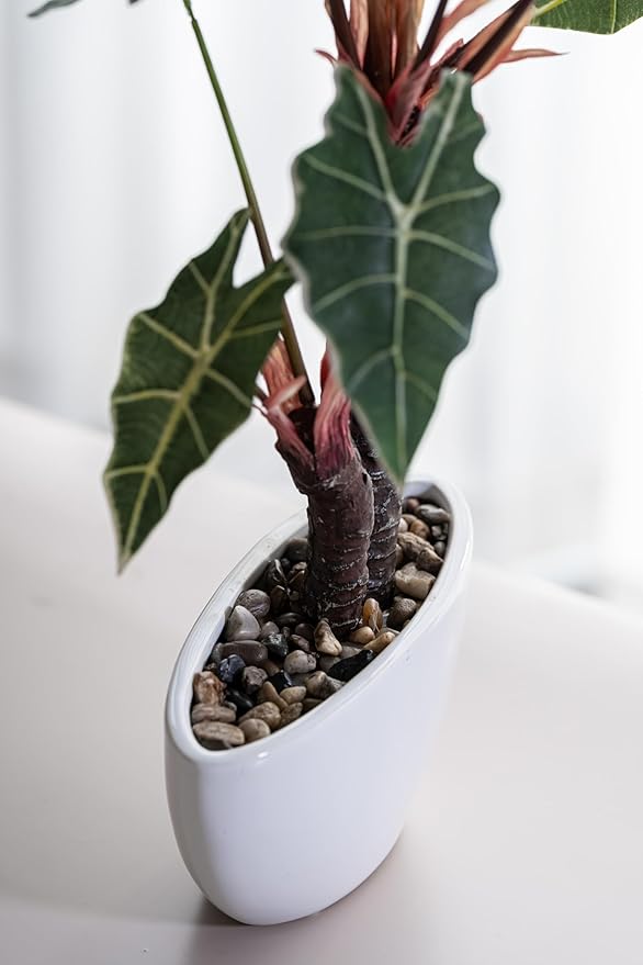Avoeco Artificial Alocasia Plant – 21.6” Tall Faux Plant in White Ceramic Pot with Pebbles – Realistic Fake Potted Plant for Home, Office, Boho, Modern, Minimalist & Japanese Decor(White)