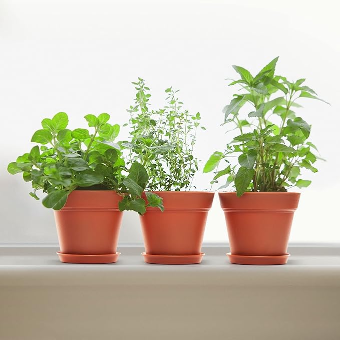 FHWTY 10 Pack Plastic Plant Pots with Drainage Holes and Tray, 5 inch Thickened Indoor Planters Seedlings Nursery Pots for Flowers, African Violet, Succulent and All House Plants, Terracotta