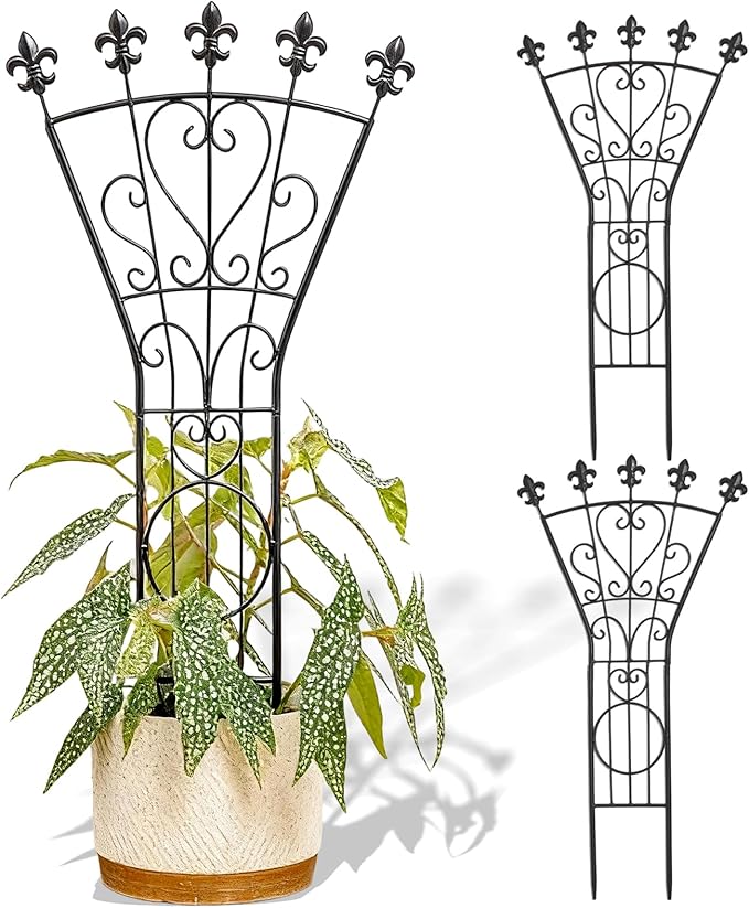 Heavy Duty Trellis for Potted Plants, 3-Pack, 24x12 Inches Elegant Metal Climbing Support for Monstera and Small Houseplants, Perfect Indoor & Outdoor Decoration for Home Garden and Balcony
