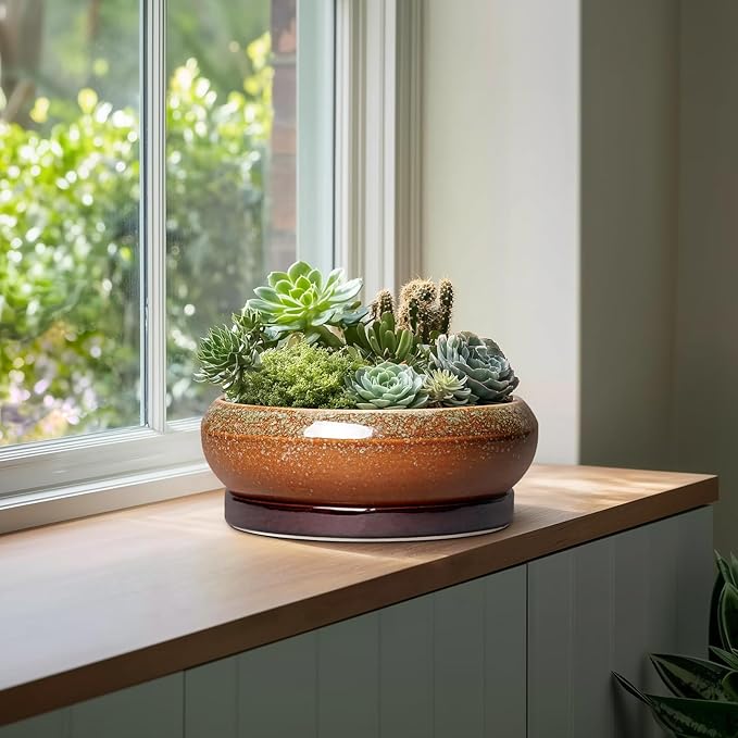 EPFamily Bonsai Pots 13 Inch - Large Ceramic Succulent Planter for Indoor Outdoor, Round Shallow Planters with Drainage Hole and Saucer, Large Succulent Pots, Patio Decor, Garden Gifts, Retro Brown