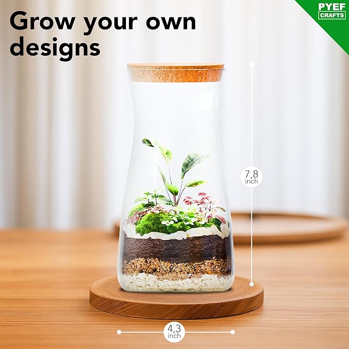 PYEF CRAFTS DIY Terrarium Kit for Adults – Build Your Own Self‑Sustaining Closed Ecosystem – 34 fl oz (1‑Liter) Glass Terrarium – Succulents, Air Plants, Fittonia, Fern – Plants Not Included