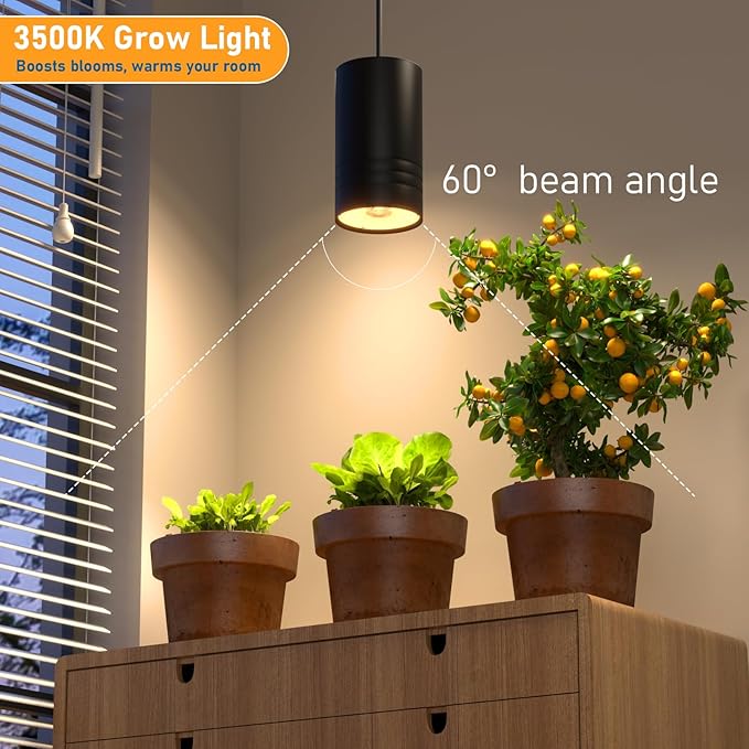 40W Plant Lights for Indoor Growing, Hanging Plant Lamp for Indoor Plants, Large Tall Plant, Garden, Flowers, Greenhouse, with Timer and 15ft Braided Power Cord, 3000K Full Spectrum, Aluminum Black