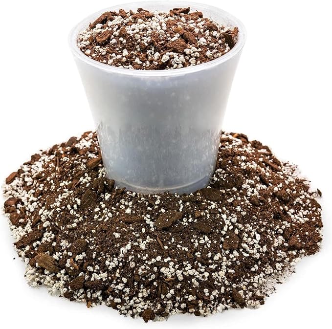 GARDENERA Premium Aloe Vera Potting Soil Mix - 10 Quart - (2 Bags of 5QT)