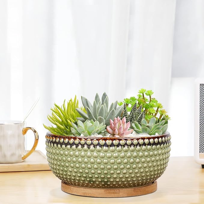 EPFamily 8 Inch Ceramic Succulent Shallow Planter Pot with Drainage Hole and Saucer Beaded Stoneware Planter for Indoor Plants Green