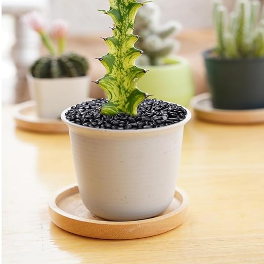 Pulovin 2.5 lbs Black Pebbles for Indoor Plants, Succulent, Bamboo, Vase, 3/8" Plant Rocks for Pots Indoor, Small River Rocks Decorative Pea Gravel, Highly Polished