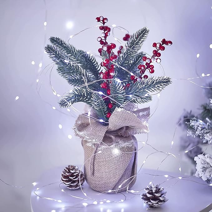 6 Pack LED Fairy Lights Battery Operated with Timer, 13FT 40LED Waterproof Firefly Lights Silver Wire Mini Twinkle String Lights for Wedding Christmas Birthday Party Mason jar Decorations, White