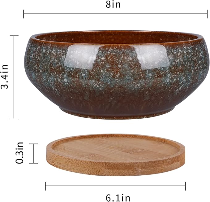 EPFamily 8 Inch Ceramic Bonsai Planter Pot, Glazed Shallow Succulent Planter with Drainage Hole and Bamboo Saucer for Indoor Plants, Green