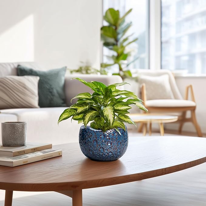 Thirtypot 6 Inch Plant Pot - Ceramic Pots for Plants with Drainage Hole, Round Orchid Pot, Unique Planter for Indoor Outdoor, Modern Decorative Flower Pots, Room Decor, Plant Lovers Gifts, Retro Blue