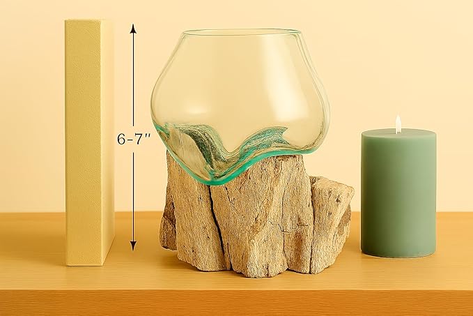 OMA Molten Glass on Driftwood – Hand-Blown Melted Glass Vase, Terrarium, or Planter for Coastal & Boho Home Décor (6"–7" High)