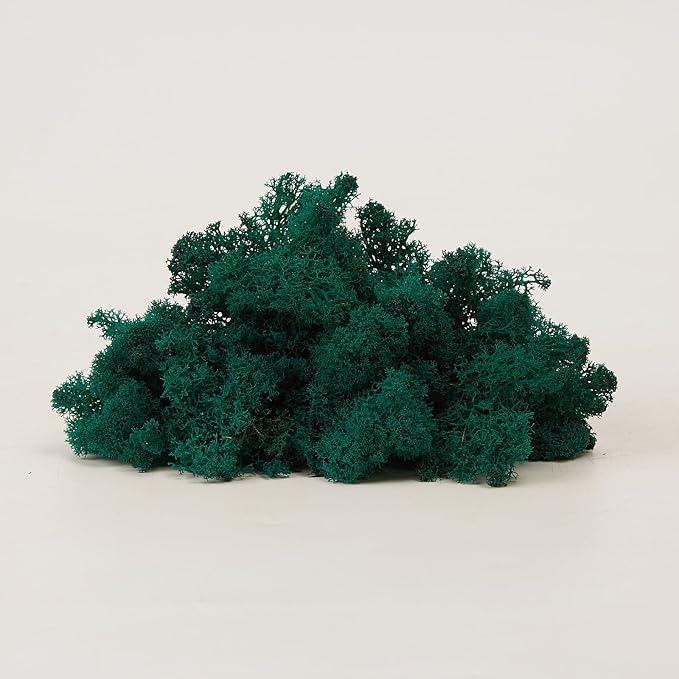 prefleur Preserved Reindeer Moss Natural Green DIY Kit Gardenning Art Wall Decor Florist Decor Easter Table Decor Wedding