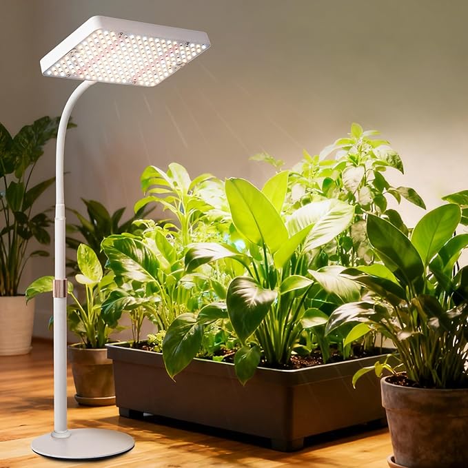 JINHONGTO Tabletop Grow Light with Timer, Bright Desk Grow Lights for Indoor Plants, Seed Starting, Seedlings, Bonsai, Succulent, Cactus, Vegetables, 16"-24" Height Adjustable, Daisy Chain Function