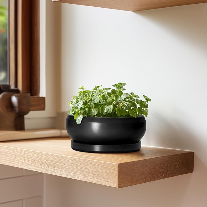 EPFamily Bonsai Tree Pots Small - 6 Inch Ceramic Succulent Pots for Indoor Plants Outdoor, Round Planter with Drainage Hole and Saucer, Shallow Planter Bowl, Bathroom Decor, House Warming Gift, Black