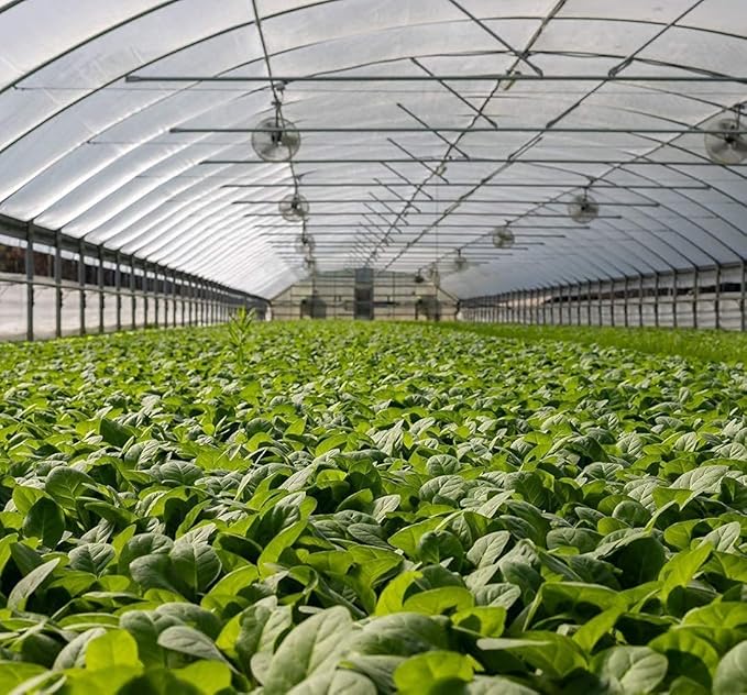 Garden Netting Pest Barrier: 10'x30' Fine Bug Netting for Garden Protection Row Cover Raised Bed Screen Mesh Greenhouse Mosquito Net, Protecting Tree Plants Vegetable Flowers Fruits