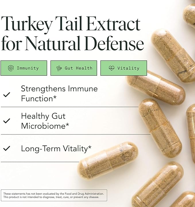 Fantastic Fungi Turkey Tail Mushroom Capsules - Organic Mushroom Extract for Gut Health & Immune Support, Functional Adaptogenic Turkey Tail Extract Supplement, Vegan Pills, 120 Caps (2-Month Supply)