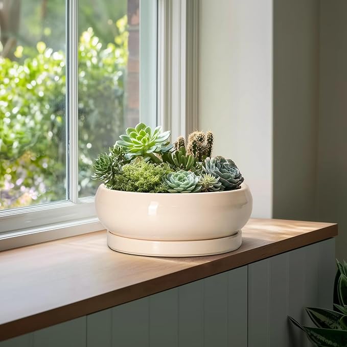 EPFamily Large Succulent Planters - 13 Inch Ceramic Bonsai Pots Indoor Outdoor, Shallow Planter with Drainage Hole and Tray, Round Planter Bowl, Large Bonsai Pot, Home Decor, Housewarming Gift, Beige