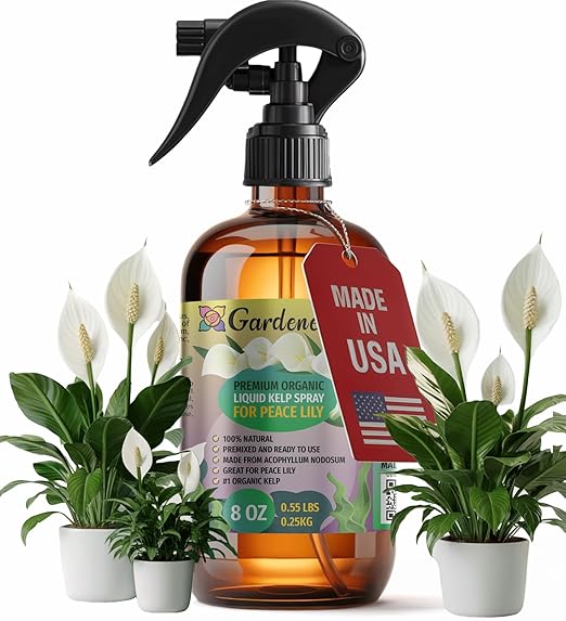 GARDENERA Professional Organic Liquid Kelp Spray for Peace Lily Plants - 8 oz - Ready-to-Use Fully Organic Seaweed & Kelp Fertilizer Mist