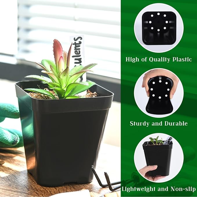 June Fox Small Seedling Pots 4 Inch, 100 Pcs Square Plant Pots Bulk, Plastic Nursery Pots with Drain Holes for Seedlings, Succulents, Cuttings (Black)