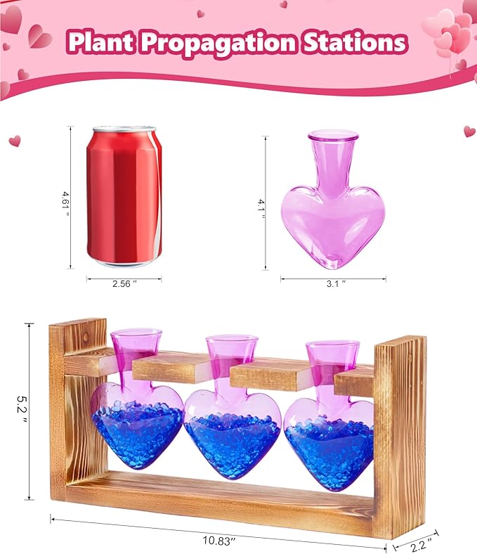 Nacome Plant Terrarium Propagation Stations: Valentines Day Gifts for Her Plant Lovers Women Mom Wife Daughter - 3 Bulb Glass Vase with Wooden Stand Tabletop for Hydroponics Indoor Home Decor(Purple)