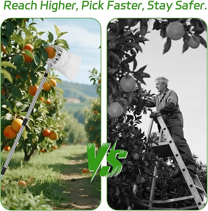 BURMONG 13.8 FT Fruit Picker Tool with Stainless Steel Pole & Soft Basket – Adjustable Tree Fruit Harvester for Apple, Mango, Avocado, Orange, Pear, Lemon & More – Lightweight & Rust-Resistant