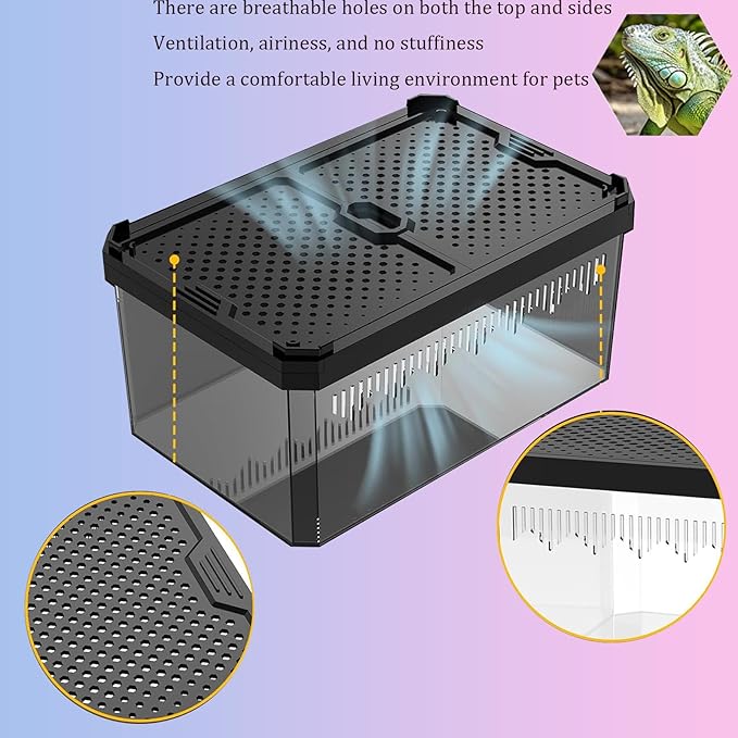 Reptile Terrarium,Tarantula Enclosure,Spider Tank Starter Kit,Leopard Gecko Container,Hermit Crab Habitat,Lizard Enclosure,Insect Housing,Jumping Spider Cage,Small Bearded Dragon Vivarium