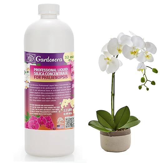 𝐏𝐑𝐎𝐅𝐄𝐒𝐒𝐈𝐎𝐍𝐀𝐋 Liquid Silica Plant Supplement - 32oz - PHALAENOPSIS Plants Liquid Silica Boost Fertilizer - Stronger Stems & Healthy Leaves for Indoor & Outdoor Orchids (Makes 180 Gallons)