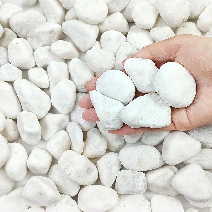 FANTIAN 5 lbs White River Rocks for Plants, 1-2 Inch Pebbles for Indoor Plants, Decorative Gravel Stones for Succulent, Cactus, Landscaping, Vases, Aquariums, Crafting and Garden