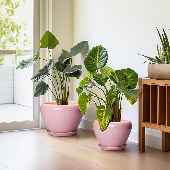 Ceramic Planters, 10+8+6 Inch Ceramic Plant Pots with Drainage Holes and Saucers, Flower Pots for Indoor Outdoor Plants, Modern Round Planter, Office Decor, Plant Lover Gifts, Set of 3, Pink