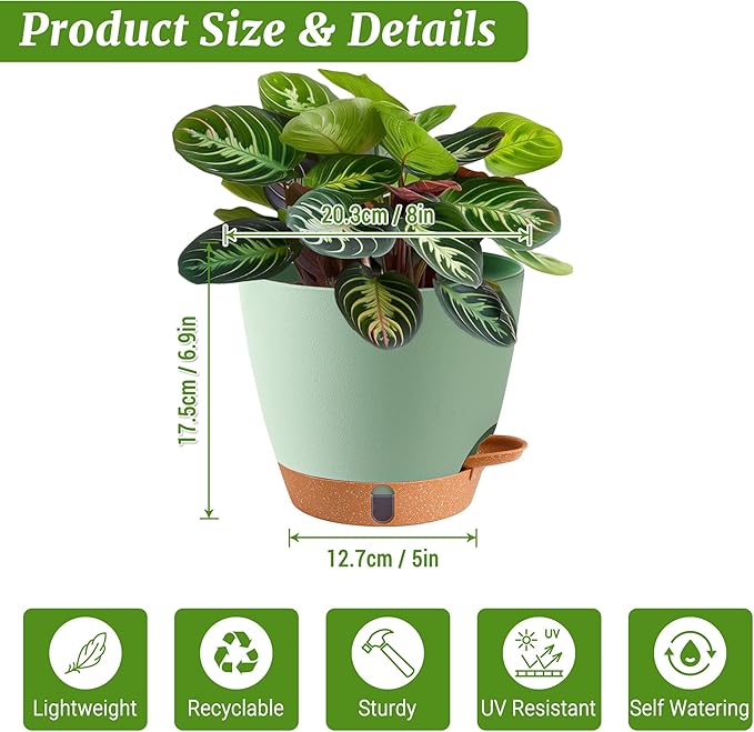 Fielda 2 Pack 8 Inch Pots for Plants Indoor, Plastic Self Watering Planters with Drainage Holes, Water Level Indicator & Deep Reservoir, Decorative Flower Pots Indoor Outdoor Use (Green