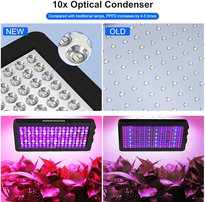 2024 Upgraded BW2000 LED Grow Lights Double Chips Full Spectrum with 10ft Cable for Greenhouse and Indoor Plant Veg and Flower Growing [Black]