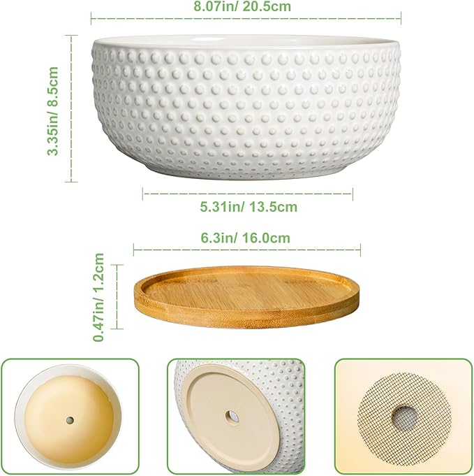 EPFamily Succulent Pots 8 Inch - Ceramic Bonsai Planters for Indoor Plants, Plant Pot with Drainage Hole and Saucer, Shallow Round Flower Planter, Modern Room Decor, Gifts for Plant Lover, White