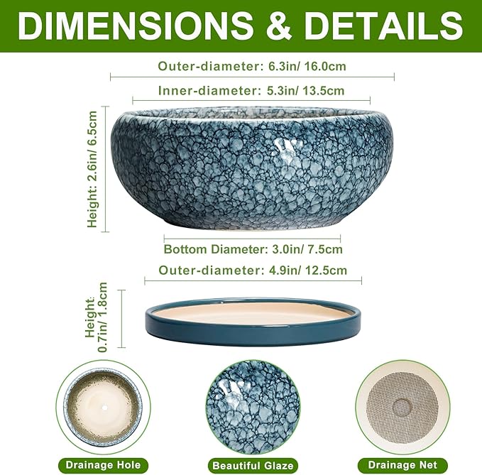 EPFamily Succulent Pots 6 Inch - Ceramic Bonsai Pots with Drainage Hole and Saucer, Shallow Planters for Indoor Outdoor, Small Bonsai Pot, Round Planter Bowl, Porch Room Decor, Plant Lover Gift, Blue