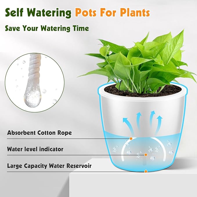 KvyusFlourish Self Watering Pots for Indoor Plants, 12-Pack 5'' Self Watering Planter with Drainage Holes, Small African Violet Pots with Water Level Indicator, Clear Wick Pot, White/Black