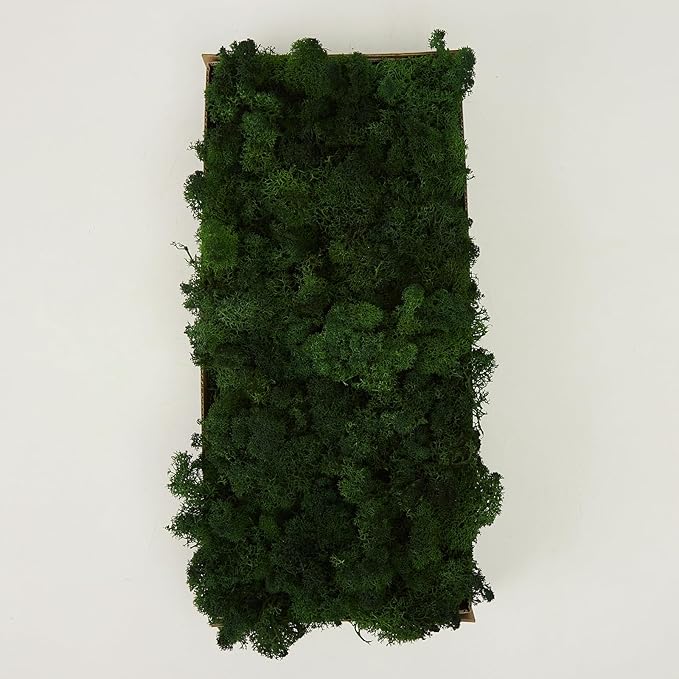 prefleur Preserved Reindeer Moss Natural Green DIY Kit Gardenning Art Wall Decor Florist Decor Easter Table Decor Wedding