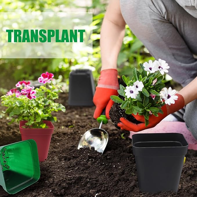 RooTrimmer Square Plastic Nursery Pot 3" 120 Pcs Deep Succulent Pots Small Flower Planter Seeds Starter Pots with Drainage (Green,Black,Red 40pcs Each,2.7Inches)